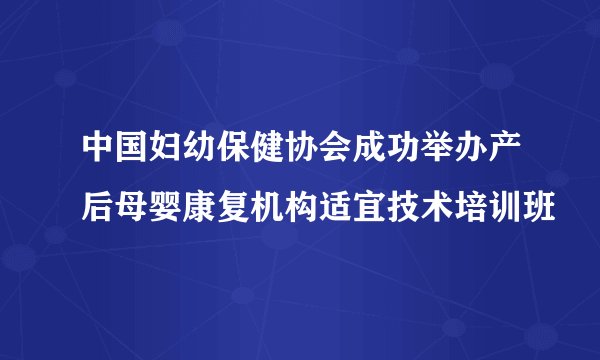 中国妇幼保健协会成功举办产后母婴康复机构适宜技术培训班