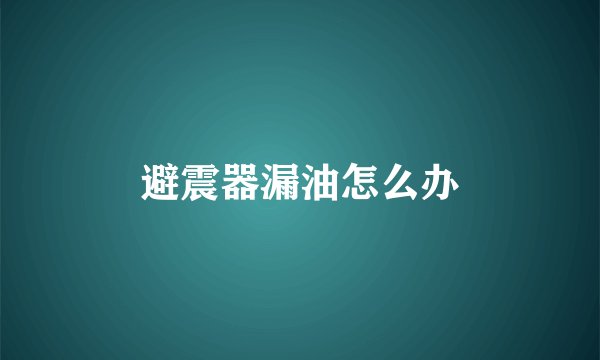 避震器漏油怎么办