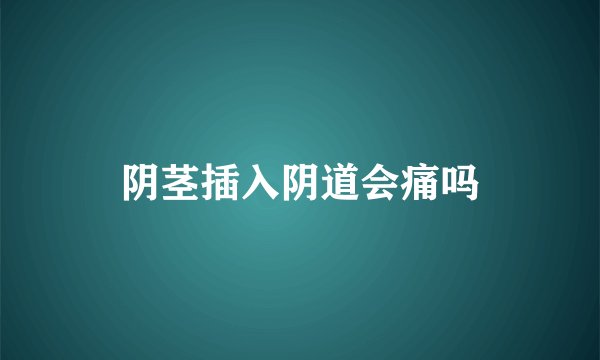 阴茎插入阴道会痛吗