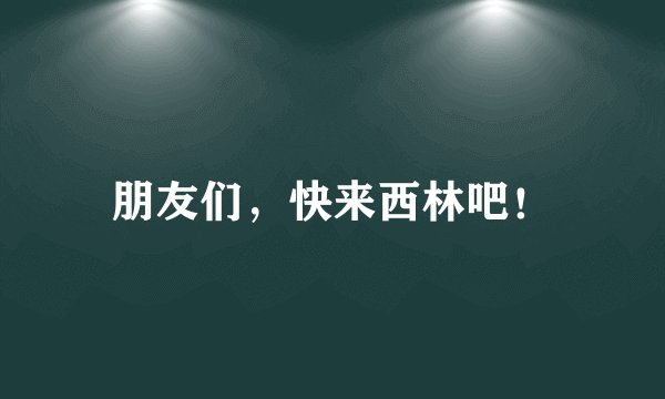 朋友们，快来西林吧！