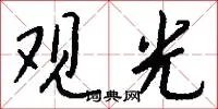 观光