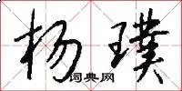杨璞