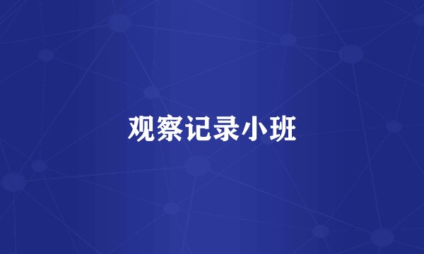 观察记录小班