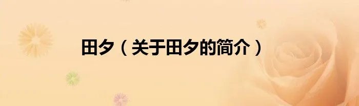 田夕（关于田夕的简介）