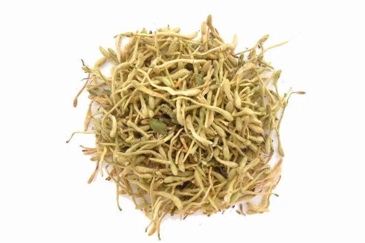 金银花的图片