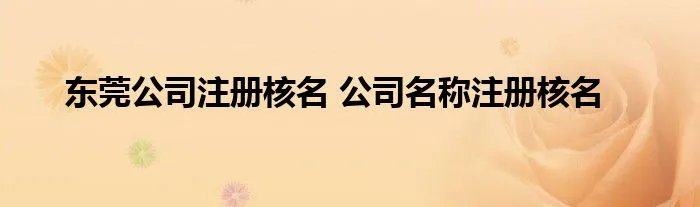 东莞公司注册核名 公司名称注册核名