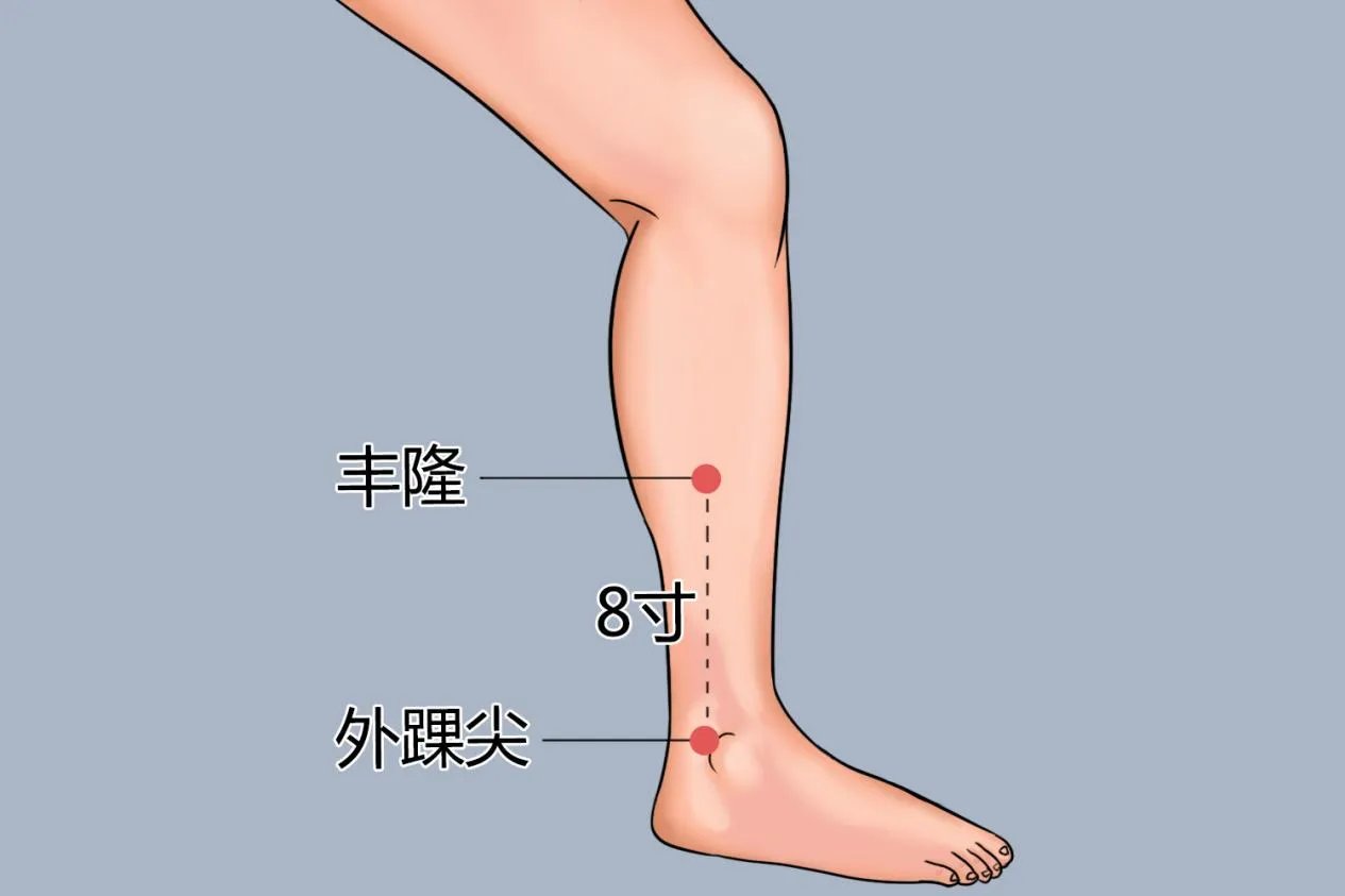 丰隆准确位置图片及功效