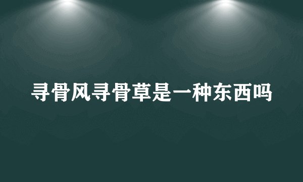 寻骨风寻骨草是一种东西吗
