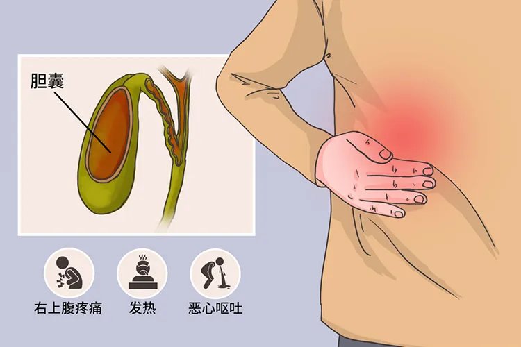肚子疼位置图片大全