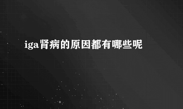iga肾病的原因都有哪些呢