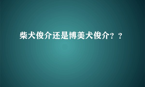 柴犬俊介还是博美犬俊介？？