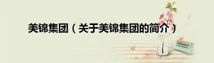 美锦集团(关于美锦集团的简介)