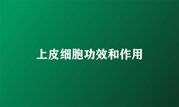 上皮细胞功效和作用