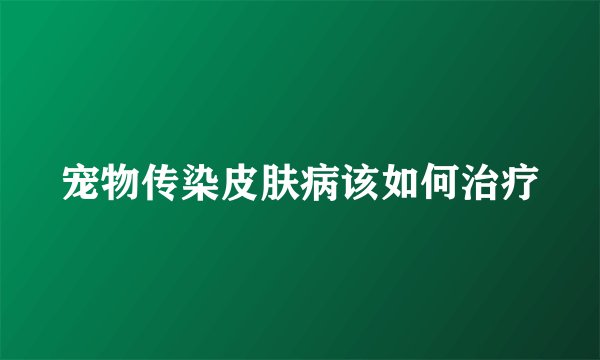 宠物传染皮肤病该如何治疗