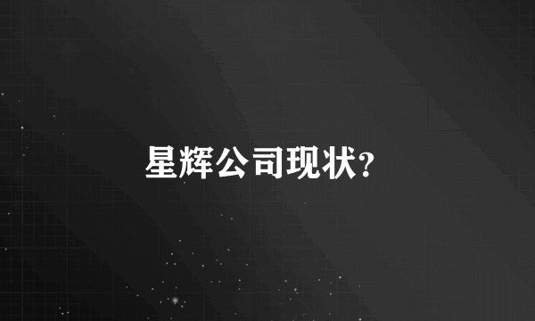 星辉公司现状？