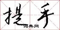 提手