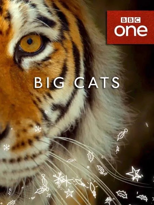 BBC新出的纪录片《大猫》能否超越高口碑《蓝色星球2》？
