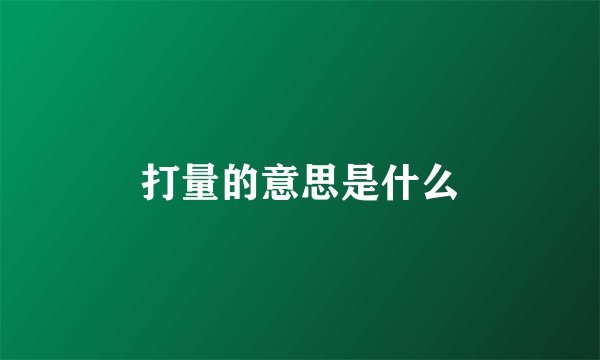 打量的意思是什么