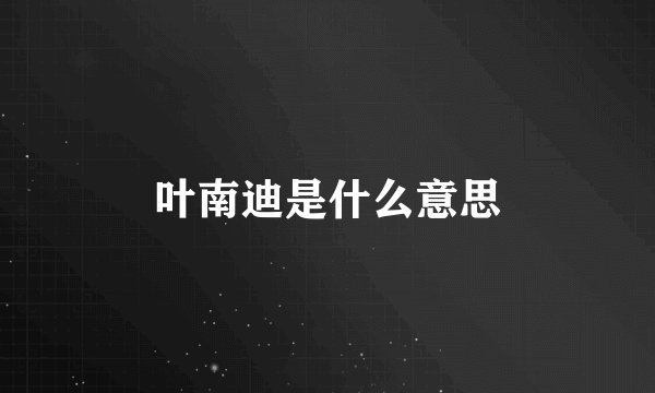叶南迪是什么意思