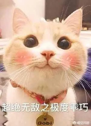如果你和恋爱结婚时,你的前对象来砸场子,该怎么办?