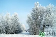下雪天会打雷吗?下雪天为什么会大雷?