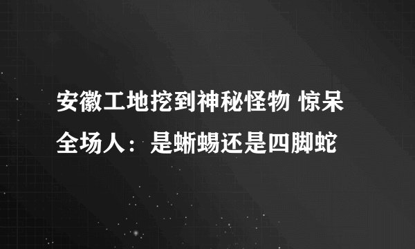 安徽工地挖到神秘怪物 惊呆全场人：是蜥蜴还是四脚蛇