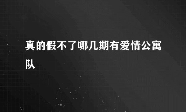 真的假不了哪几期有爱情公寓队