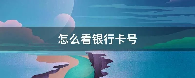 怎么看银行卡号