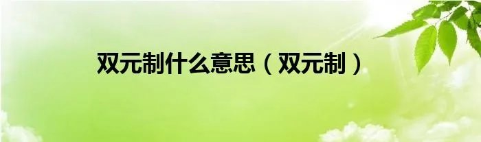 双元制什么意思（双元制）