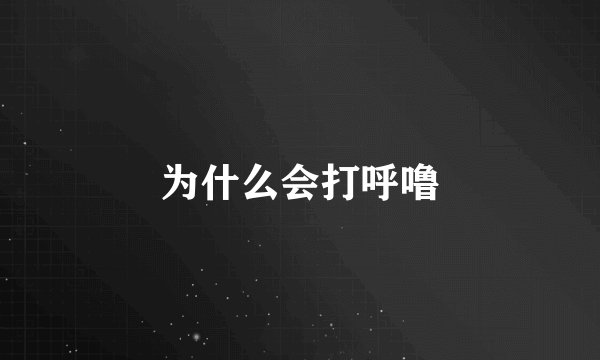 为什么会打呼噜