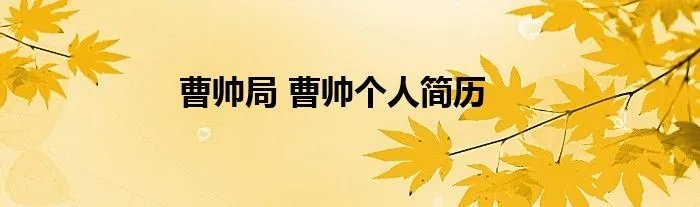 曹帅局 曹帅个人简历