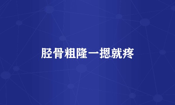 胫骨粗隆一摁就疼