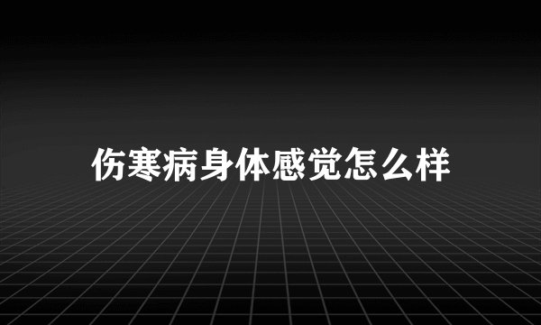 伤寒病身体感觉怎么样