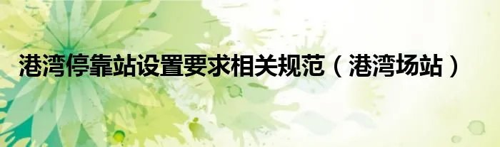 港湾停靠站设置要求相关规范（港湾场站）