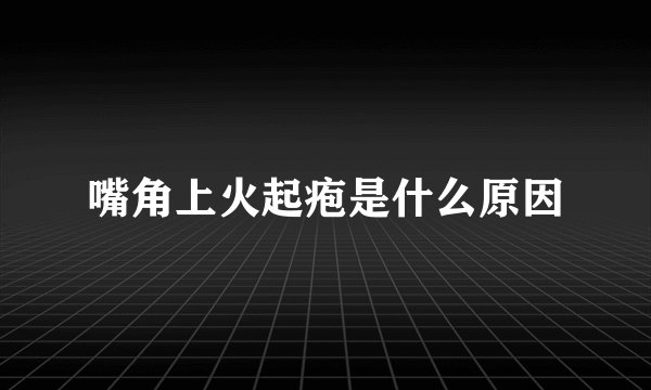 嘴角上火起疱是什么原因