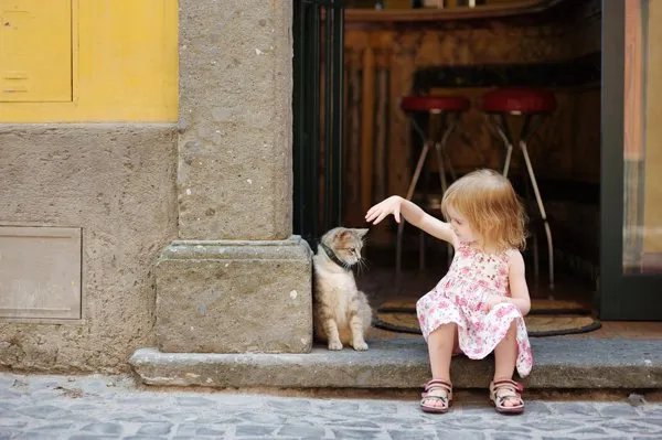 猫为什么会带有狂犬病