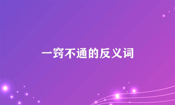 一窍不通的反义词