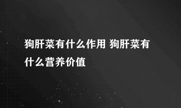 狗肝菜有什么作用 狗肝菜有什么营养价值