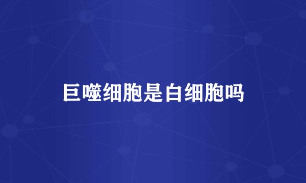 巨噬细胞是白细胞吗