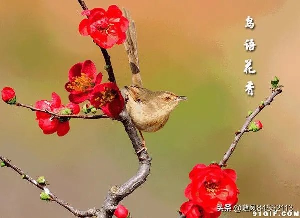 文化创意都是做什么的?