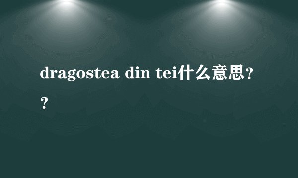 dragostea din tei什么意思??