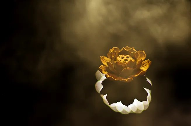 浴佛节有哪些习俗 浴佛节风俗习惯是什么