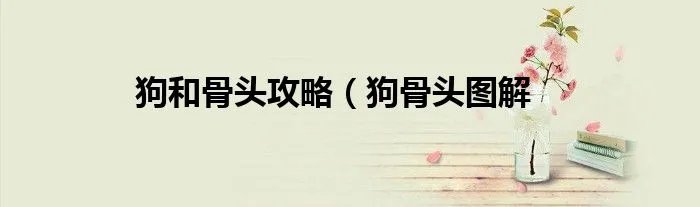 狗和骨头攻略（狗骨头图解