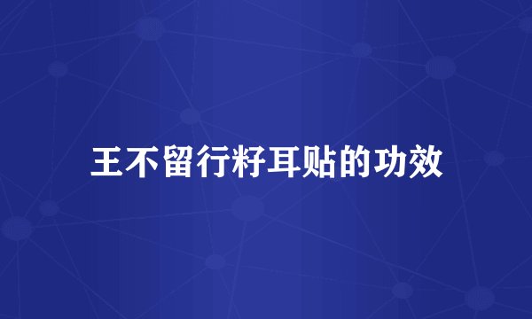 王不留行籽耳贴的功效