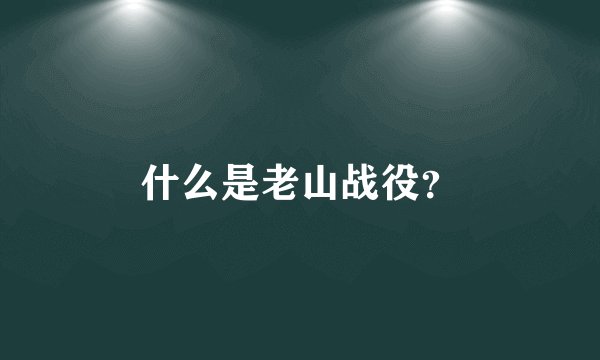 什么是老山战役？