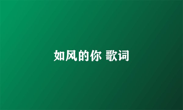 如风的你 歌词