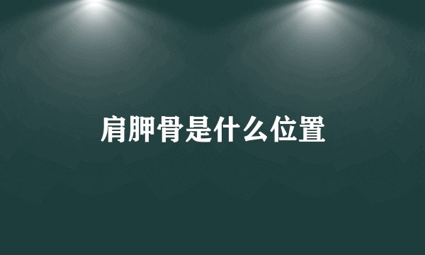 肩胛骨是什么位置