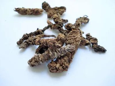 常用清热解毒的药物有哪些 夏季宜喝这些清热解毒汤
