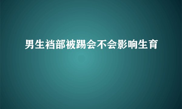 男生裆部被踢会不会影响生育