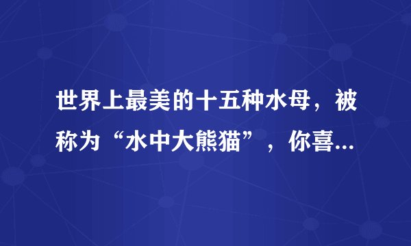 世界上最美的十五种水母,被称为“水中大熊猫”,你喜欢哪一种呢